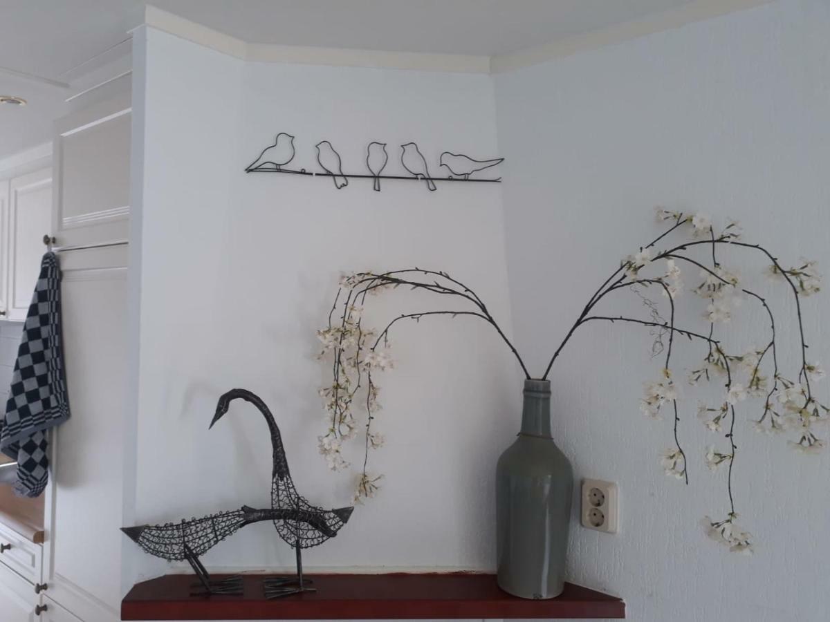 Chalet Van Minicamping De Braamhof 쿠데커크 외부 사진